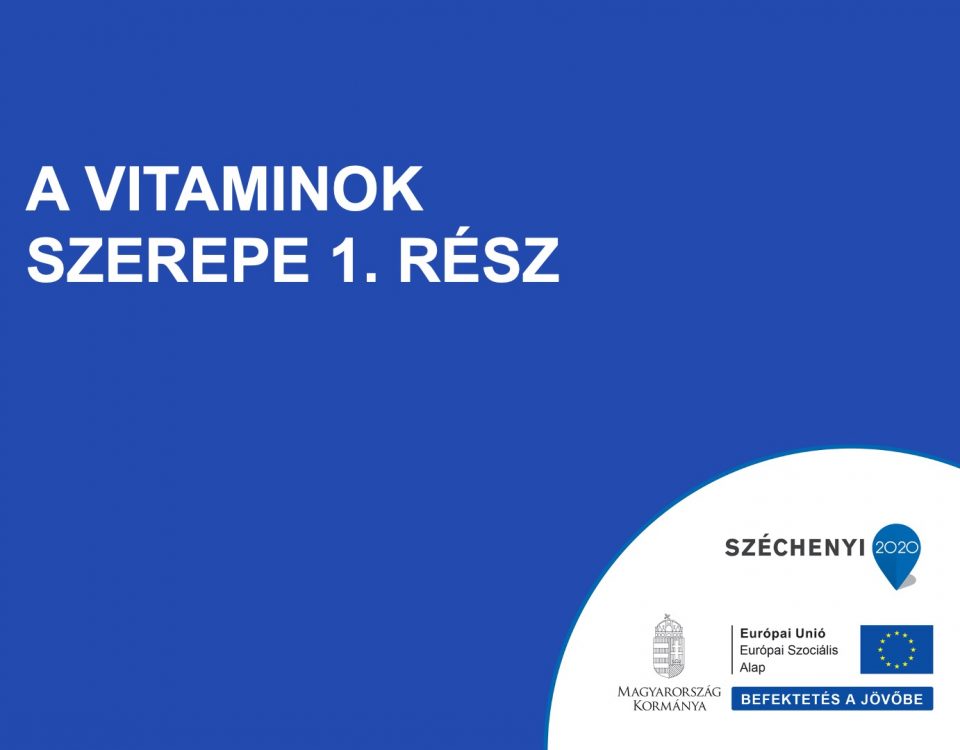 A vitaminok szerepe