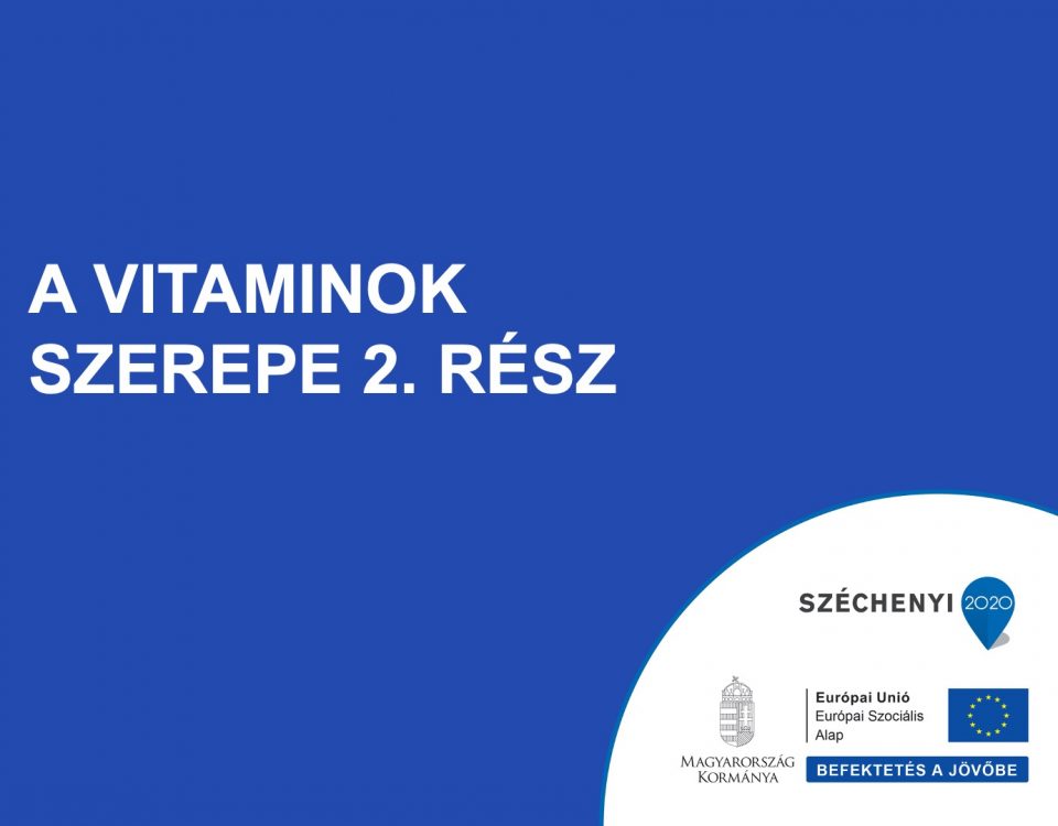 A vitaminok szerepe